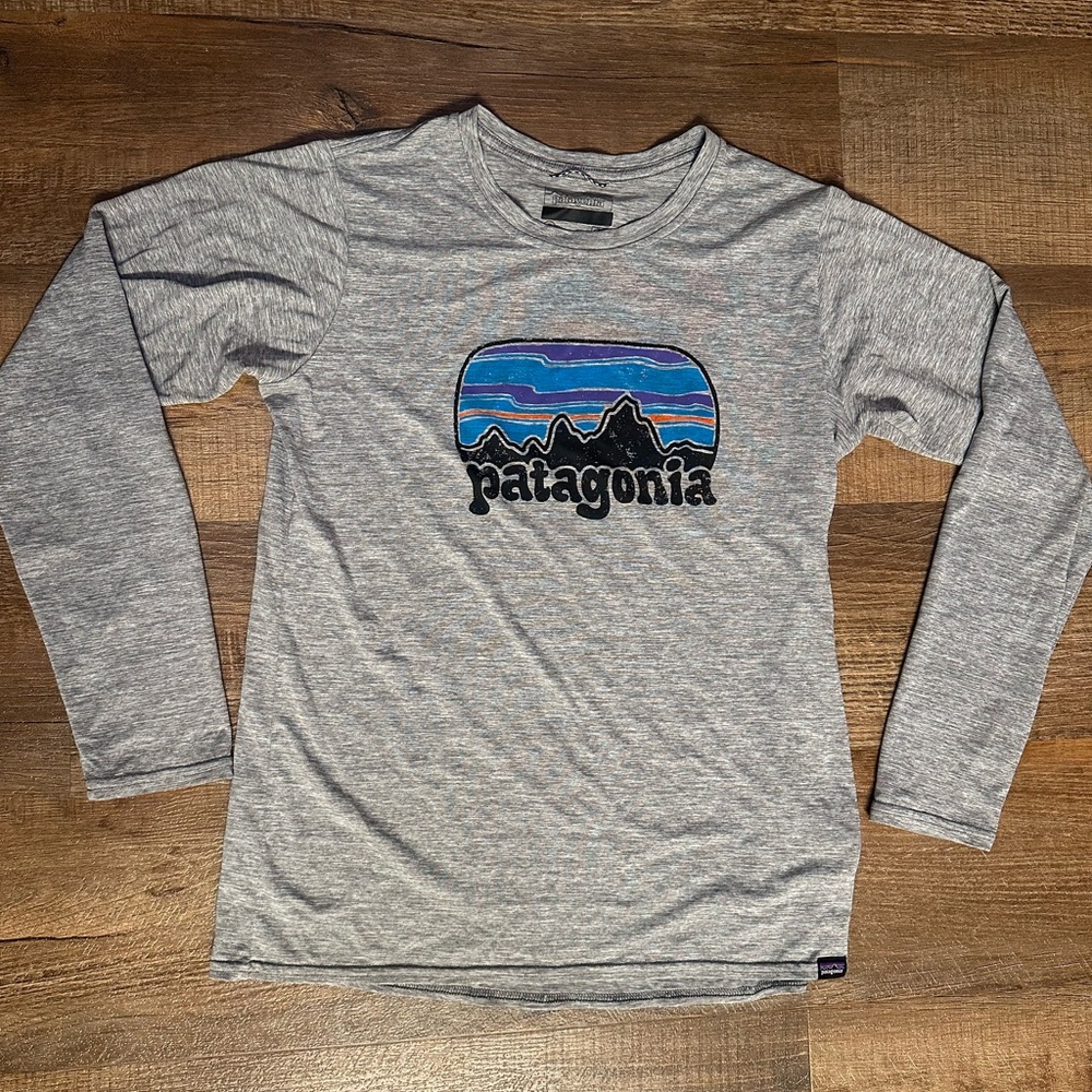 Patagonia Heather Gray Long Sleeve Tee with Blue Graphic